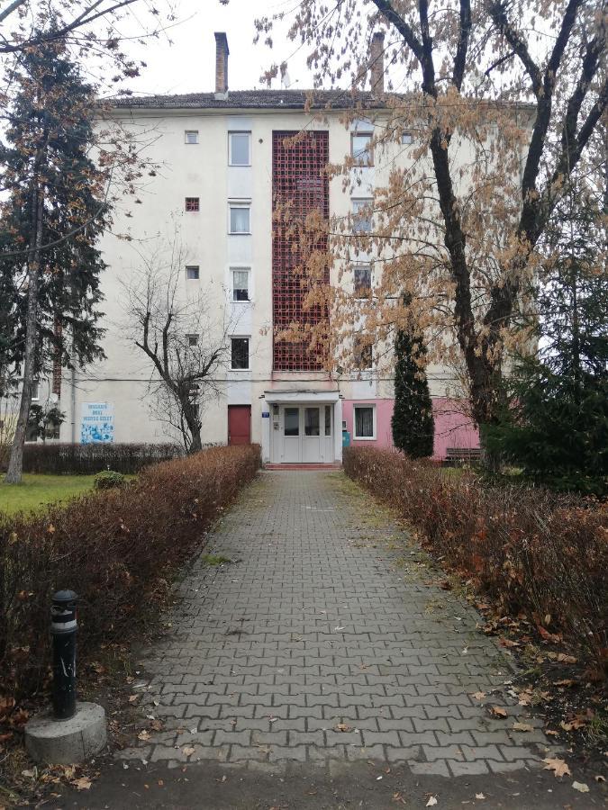 Apartament Raluca Topliţa 외부 사진